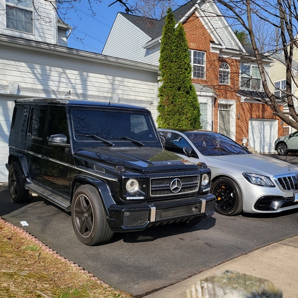 Meet your Posher, Lou - Picture 16 of 16